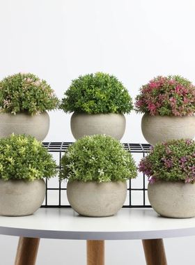 天猫优选仿真北欧盆栽桌面