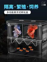 Fish Fry Incubators Peacock Fish Transparent Propagation Boxfish Isolate Acrylic Double Layer Hatchbox Special