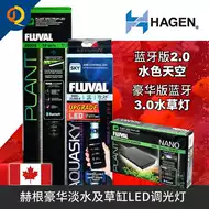 天水草灯 新人首单立减十元 21年8月 淘宝海外