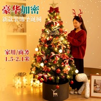Christmas decorations 2023 new Christmas trees Home Large Packages 2023 Nets Red Advanced Sensins Christmas