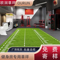 Artificial Lawn Emulation Paving Mat Plastic Fake Green Plant Gym Artificial Turf Outdoor Green Surround to decorate the carpet