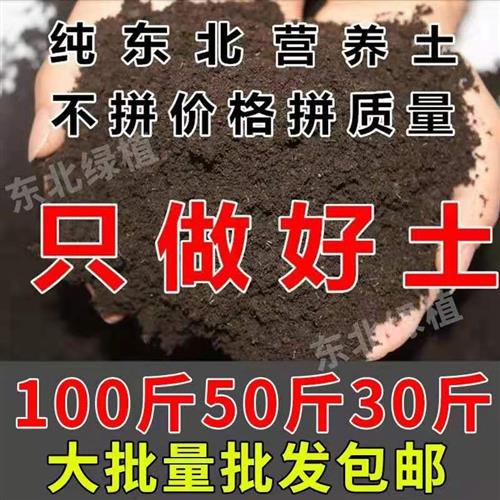 营养土养花通用型土壤种植土花土家用种菜有机土大包50斤多肉专用 - 图0