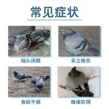 Айруи -травоядные насекомые полностью чисты и могут использоваться для внутренних и внешних насекомых.