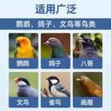 Airuimu Sandangjing Голубь Salmonella E. coli enteritis Enteritis Природные растения безопаснее