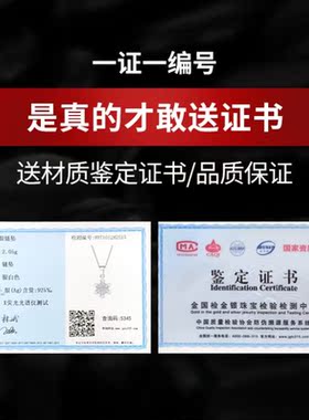 雪花小众设计感轻奢高级锁骨链