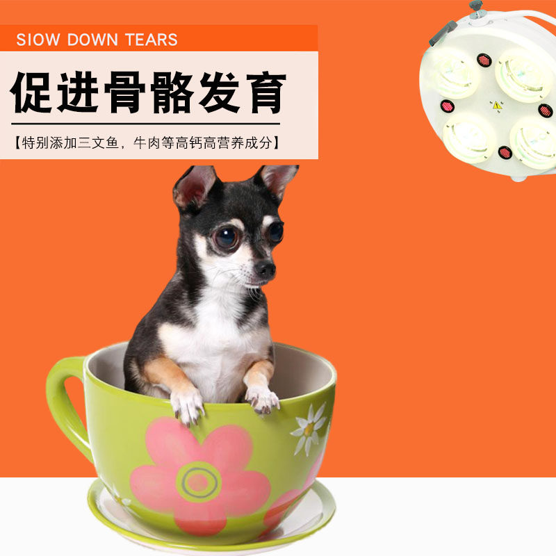 吉娃娃专用鲜肉狗粮幼崽成犬老年犬小型犬小颗粒奶糕粮增肥不掉毛,淘宝优惠券,粉丝福利购,淘宝优惠卷