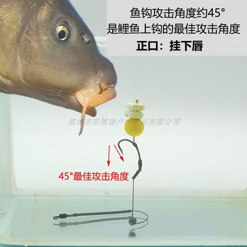 鲤鱼钓组  欧鲤钓欧式钓法海竿抛杆湖库钓鱼飞德珠珠返底钓法巨物 - 图0