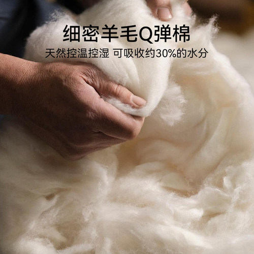 林芃庄生晓梦马尾毛床垫护腰护脊手工无胶水席梦思床垫家用卧室 - 图1