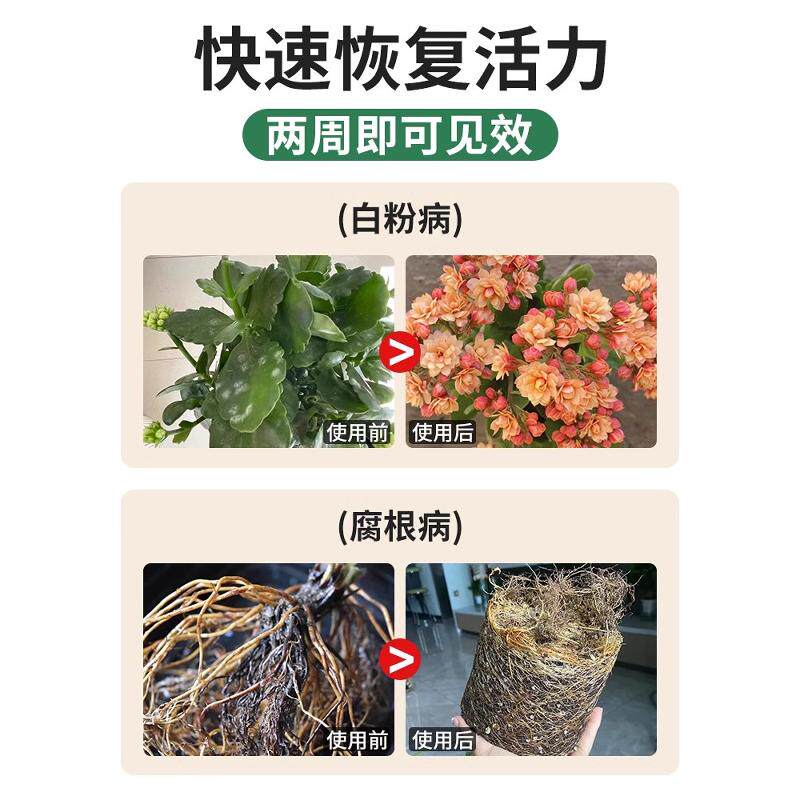花草植物菌立清杀菌剂通用免稀释微生物菌剂花盆栽绿植营养液抑菌,淘宝优惠券,粉丝福利购,淘宝优惠卷