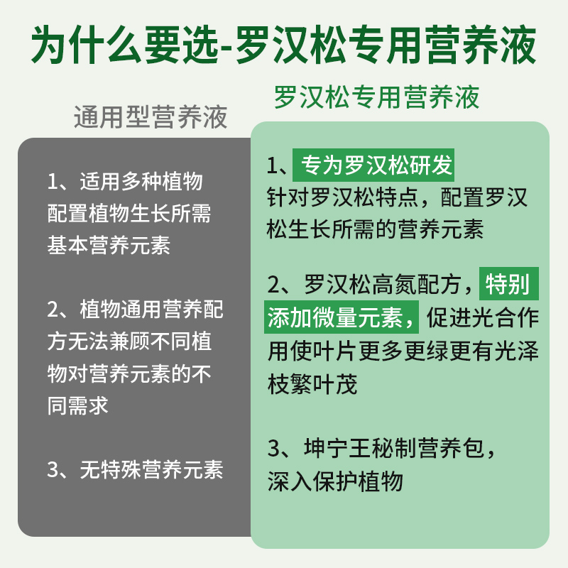 罗汉松营养液肥料专用肥泰山松雀舌四季大阪松树盆景盆栽通用型肥 - 图3