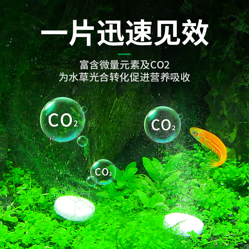 二氧化碳鱼缸专用释片爆藻黄叶水草缸co2泡腾片co2发生器替换片 - 图1