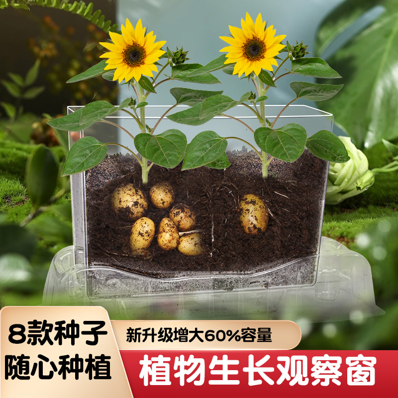 六一儿童节礼物科学小实验套装植物生长观察盒阳光种植房男孩玩具