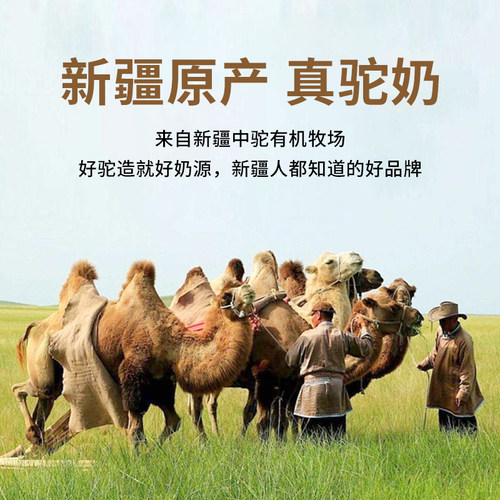 中驼纯骆驼奶粉新疆有机驼乳粉罐装学生 - 图0
