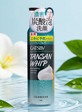 Gatsby男士超微细炭酸洗面泡泡200g痘痘肌绿色瓶装去油清爽进口版