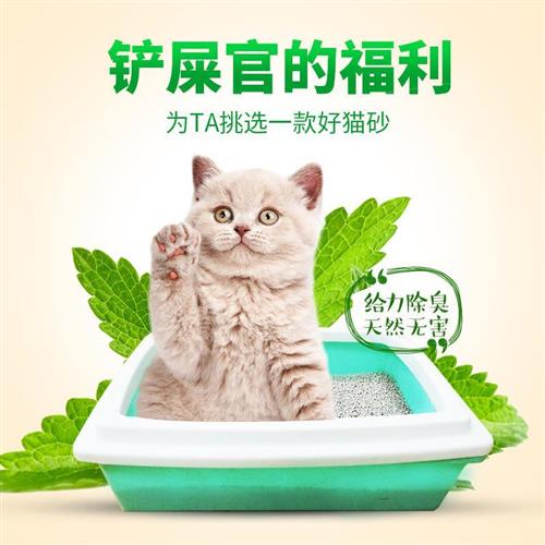 猫咪除臭猫砂用o品公斤特价结团膨润土薰衣草