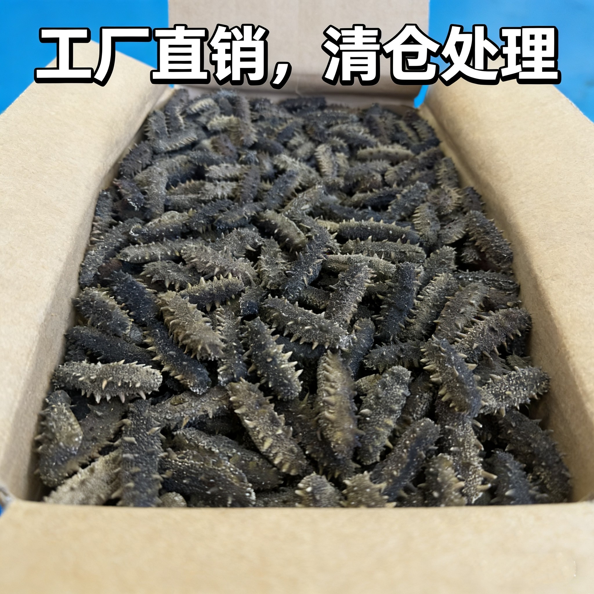 大连淡干海参辽参刺参干货特价批发小规格清仓价