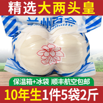 A decade of Lanzhou Fresh lilies 500g large two-end Real edible sweet lilies New dig of lily dry farmhouse special grade