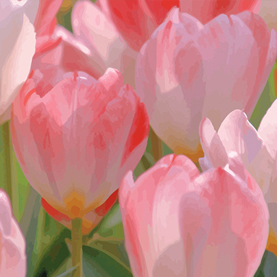 郁金香数字油画手工画画diy填充花卉油彩画填色涂色装饰风景手绘-图2