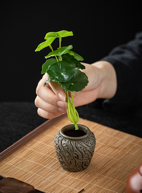陶瓷复古小花缸，送仿真铜钱草