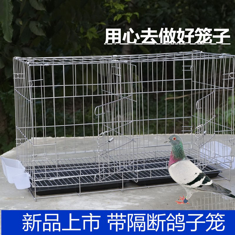 加粗鸽子笼子鸽子用品用具鸽子笼大号鸡笼家用鸽子养殖笼子-图2