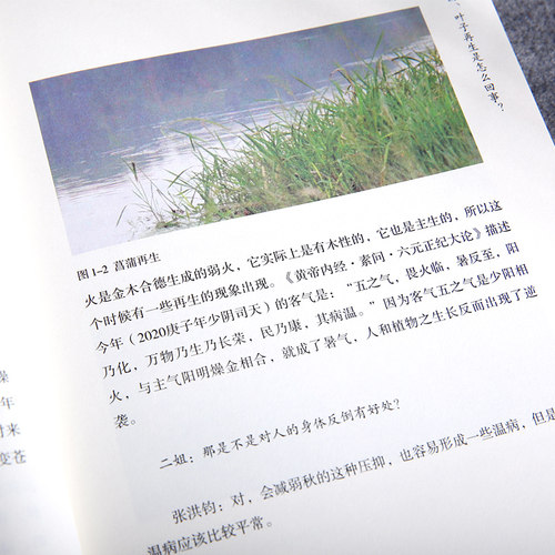 物候心语全套4册 二十四节气养生节气食谱 张洪钧 修身养性书籍 家常食材食疗健康书中医节气养生智慧中医学文化大众养生指南 CGWX - 图2