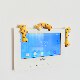Decompression healing gadgets video doorbell decoration