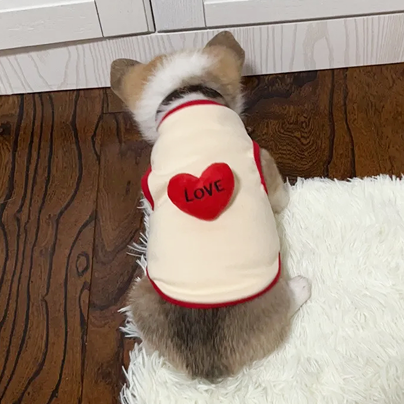 奶猫奶狗小号背心0-3个月小猫家居服布偶金渐层猫咪衣服秋冬保暖 - 图1