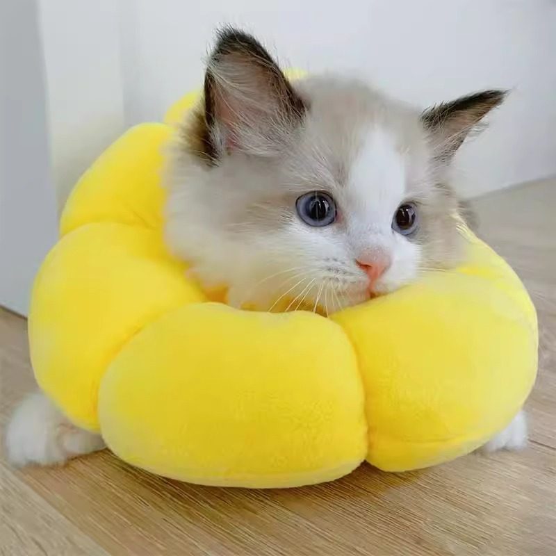 伊丽莎白圈猫猫绝育脖圈防舔除跳蚤英短猫咪项圈狗狗头套宠物用品,淘宝优惠券,粉丝福利购,淘宝优惠卷