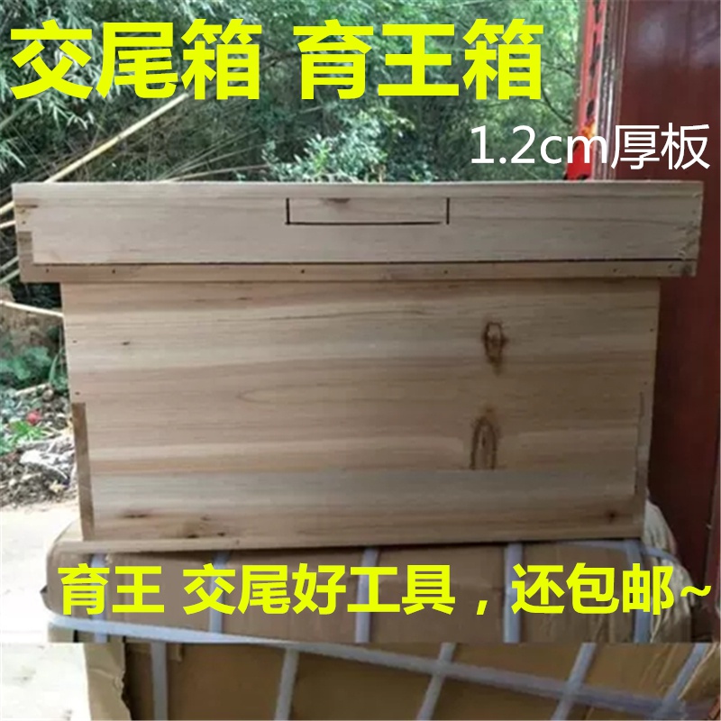 箱育王箱全杉木烘干板1u.2厘米养蜂工具诱蜂T箱实木蜂具交