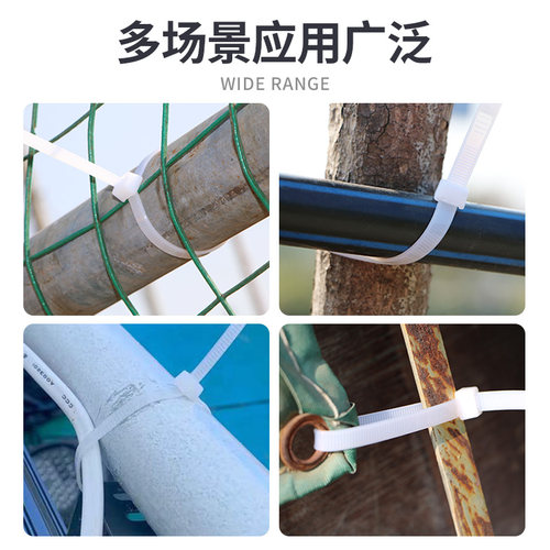 100根自锁式尼龙扎带3*100mm国标拉紧器束线带勒死狗扎丝国标扎绳 - 图1