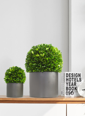 好养活花卉室内绿植桌面小盆栽客厅驱蚊植物卧室客厅装饰玄关摆件