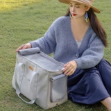 Кошачья сумка вручную выпала переносного питомца