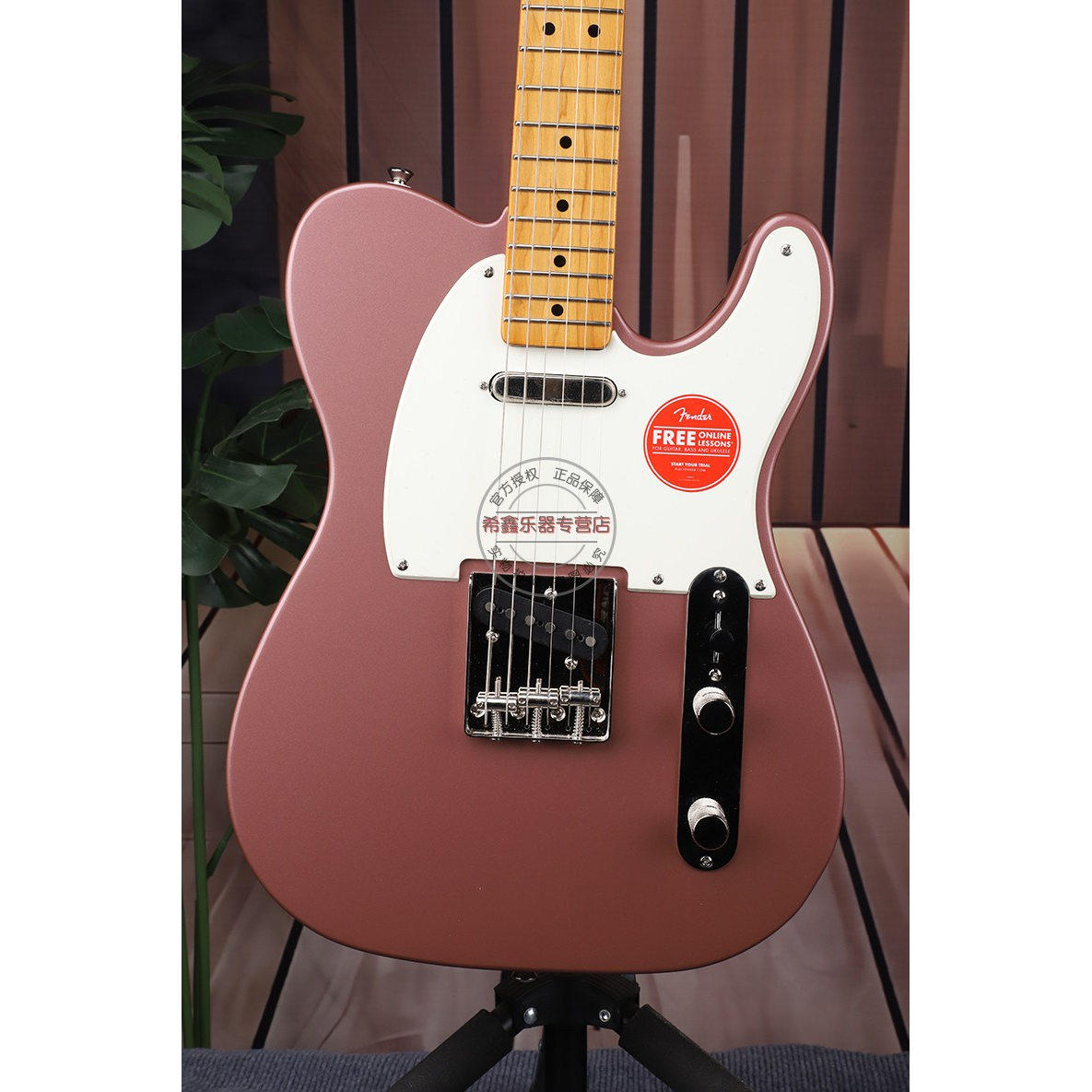 Fender芬达Squier限量款CV系列50s Tele电吉他迷雾勃艮第-图2