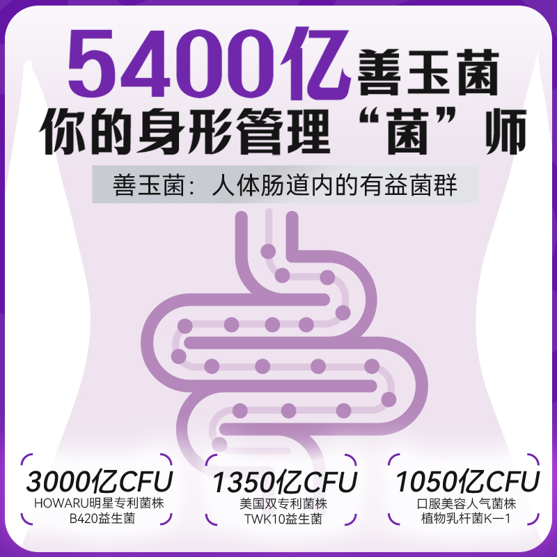 isdg日本原装进口管理体重硬胶囊 全日本制药保健食品海外益生菌