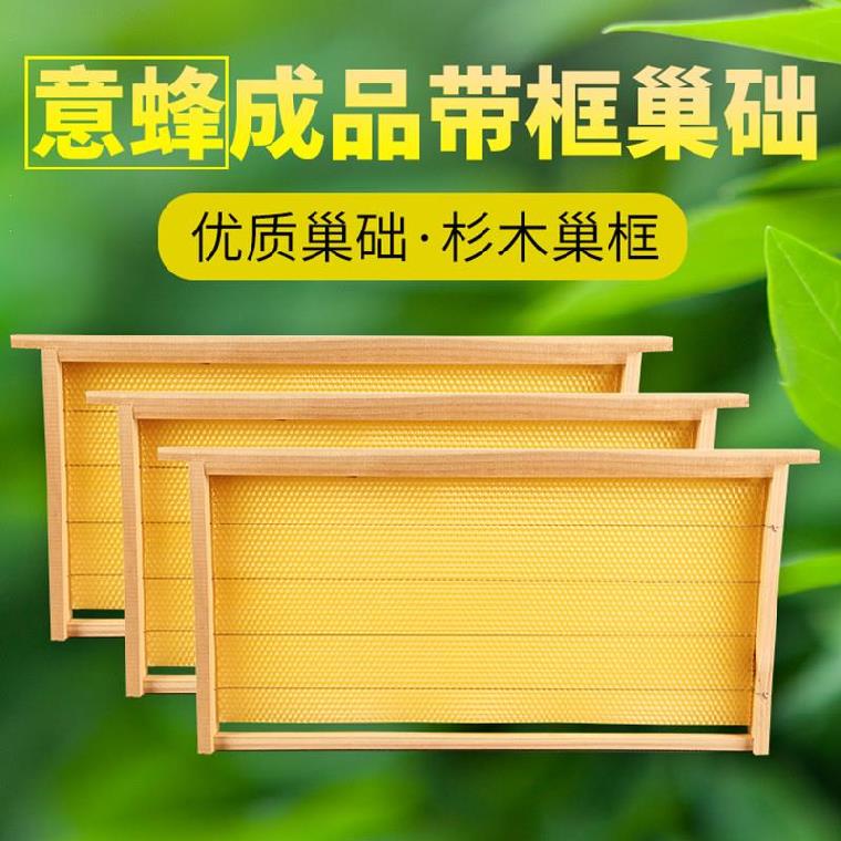 全套配件工具横蜂中准十框箱继箱精品J带框巢础标养蜂箱模具底