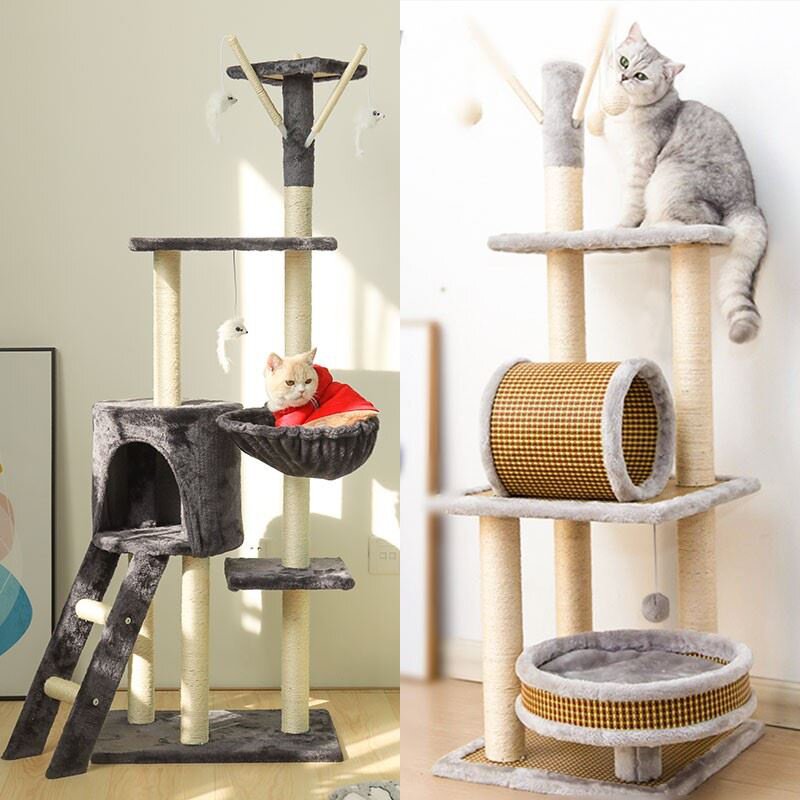 猫树玩推荐品牌 新人首单立减十元 21年6月 淘宝海外