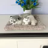 Имитация бамбукового угля, сумка, орнамент, собака, активированный уголь, автомобиль, дополнительное украшение интерьера автомобиля, вкус, запах, формальдегид, кошка для матери и ребенка