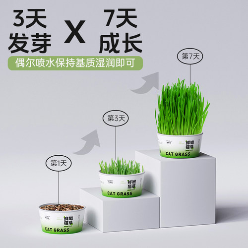 宠奇拉鲜嫩猫草土培盆栽种植助化毛片懒人水培盆子猫薄荷猫咪零食 - 图2