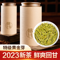 2023 New tea special class Angie gold sprouts handmade green tea 250g Ming Former tea white tea official flagship store