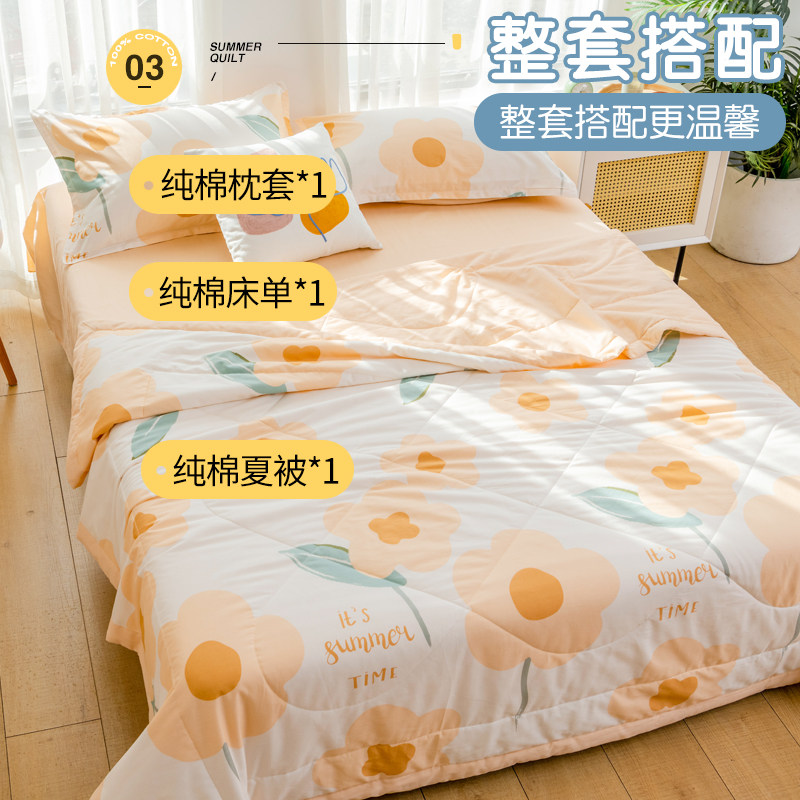 纯棉四件套一整套可机洗水洗夏被 艾格妮斯床品套件/四件套/多件套