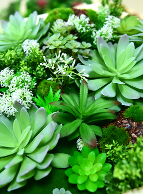 仿真壁挂墙面装饰植物遮丑