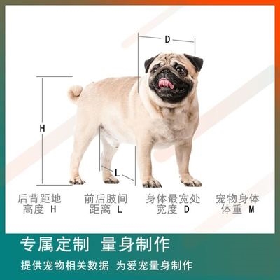Palsy Kitty Cat Little Cloth I Wheel Out of Latfour with Xiaotong Dog Sick Type Spotting Rear Lards rear Wheel External Dog Handicapped Pushchair