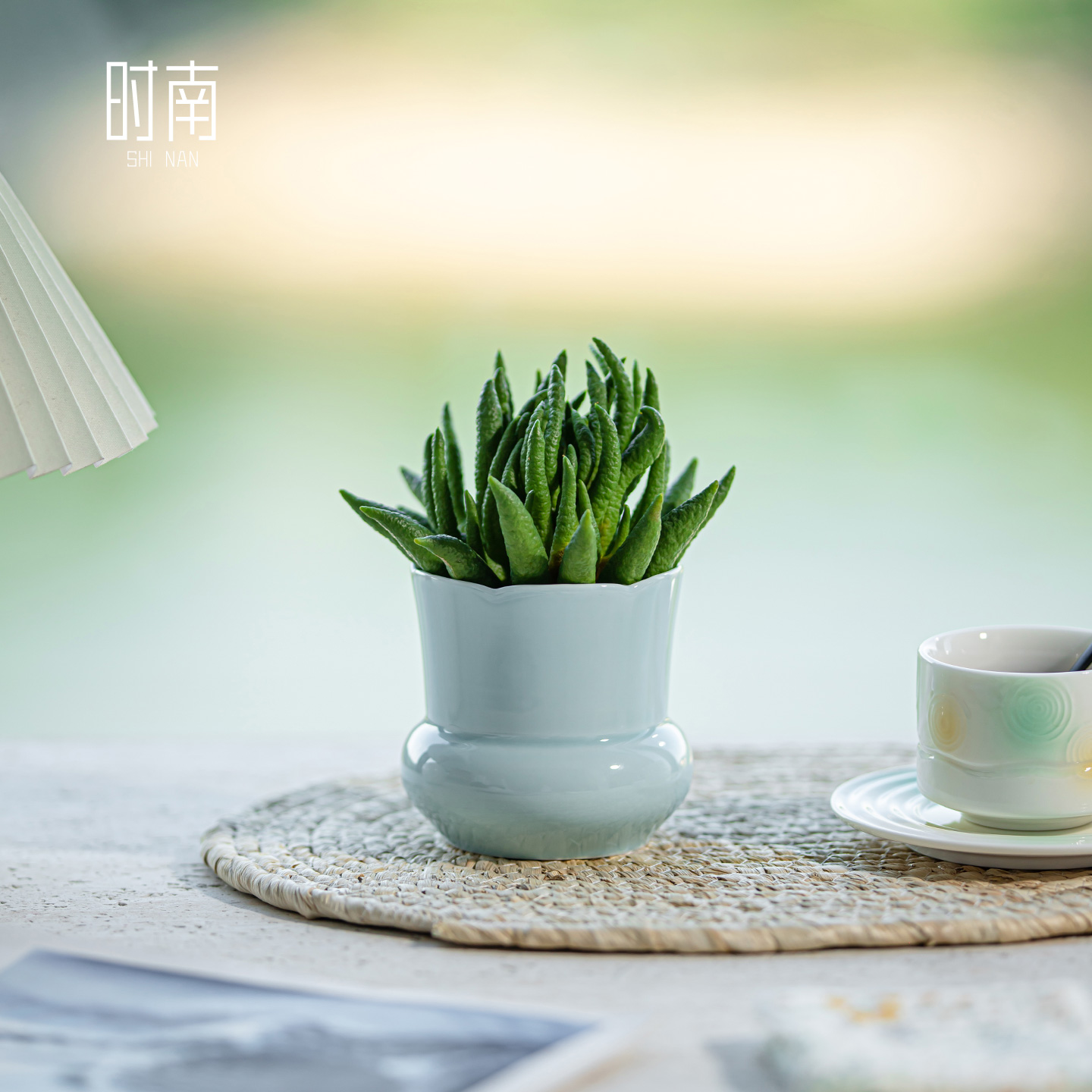 养佛手柑的托盘中式佛手果专用花瓶佛手瓜水培器皿陶瓷佛手摆放盘 - 图3