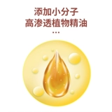 Набор травяных препаратов, масло для похудения с горькой полынью, таблетки для ванны, очищение от шлаков и токсинов