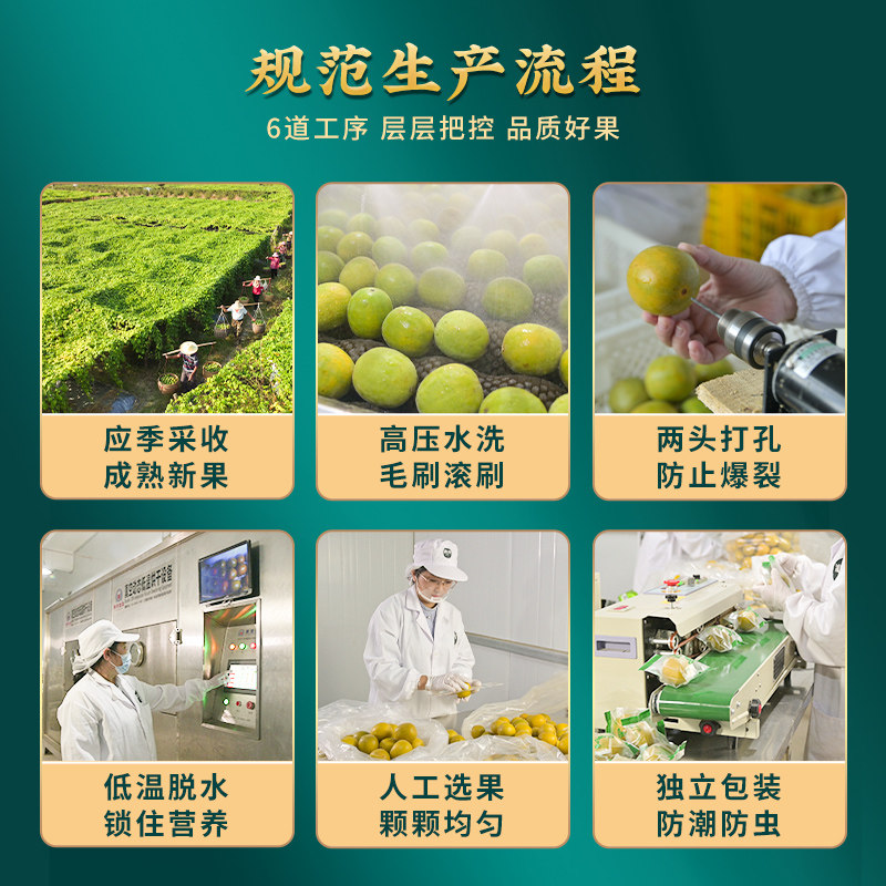  漓果鲜食品罗汉果