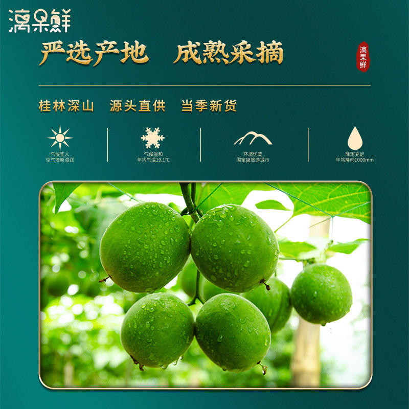 漓果鲜广西桂林低温脱水罗汉果黄金 漓果鲜食品罗汉果