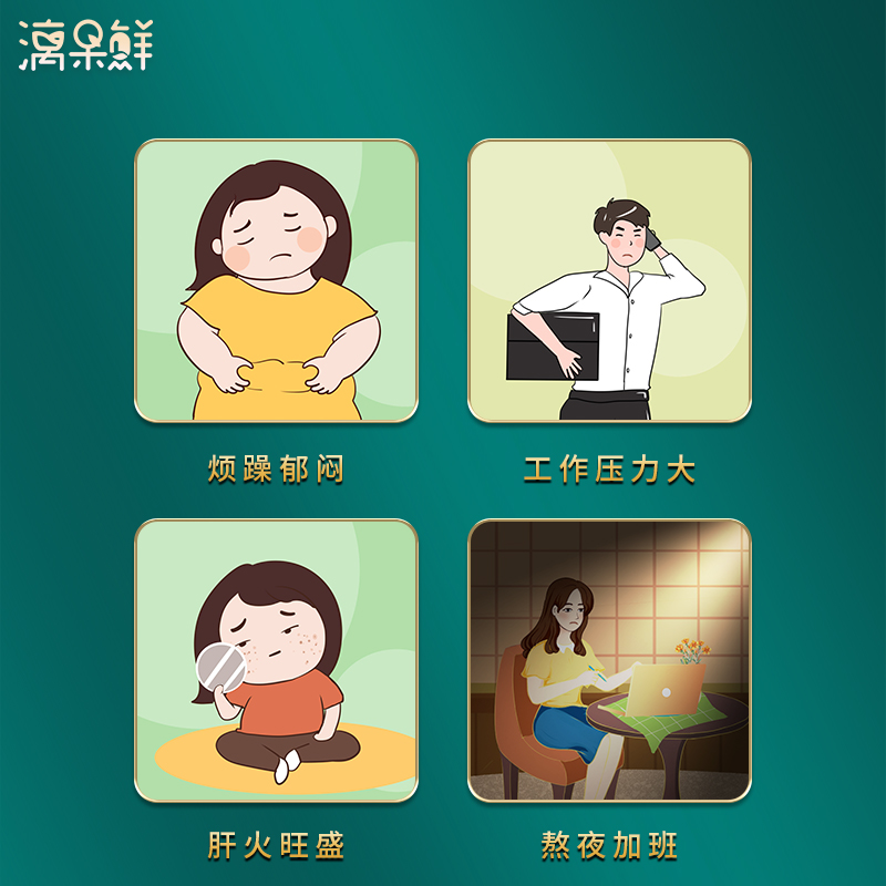 漓果鲜金银花茶干菊花散装罐装清火去火野生养生凉茶茶叶泡水