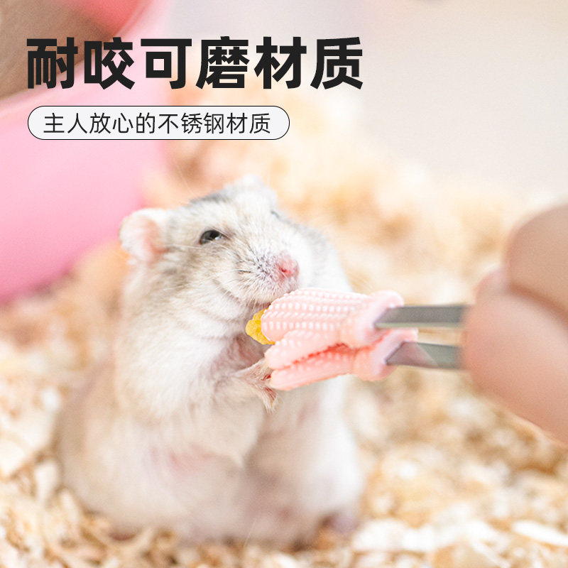 仓鼠喂食勺夹子金丝熊防咬夹互动解闷玩具零食小镊子生活用品大全,淘宝优惠券,粉丝福利购,淘宝优惠卷