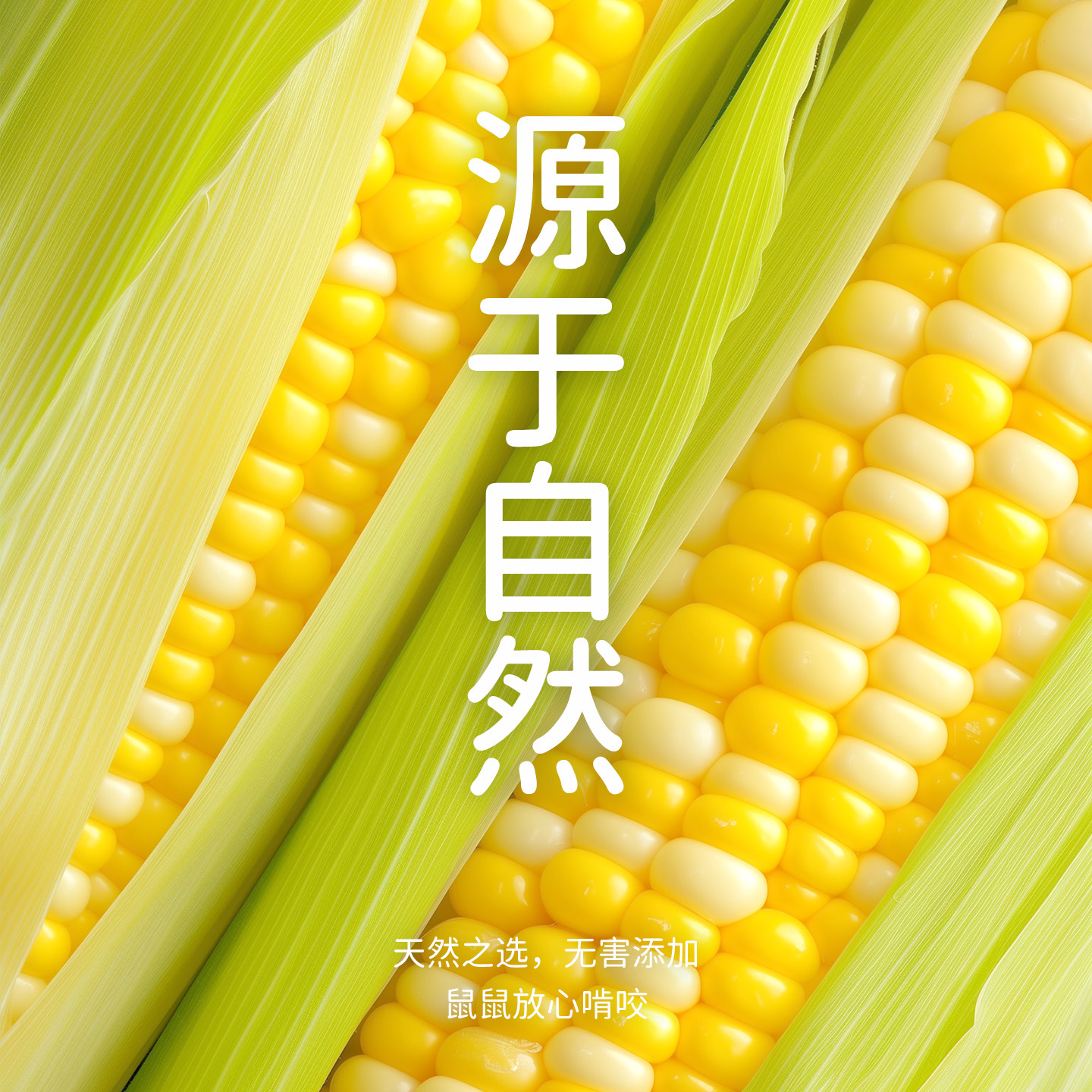 仓鼠除臭颗粒垫料荷兰猪除臭剂防臭专用笼子仓鼠垫料宠物除臭剂,淘宝优惠券,粉丝福利购,淘宝优惠卷