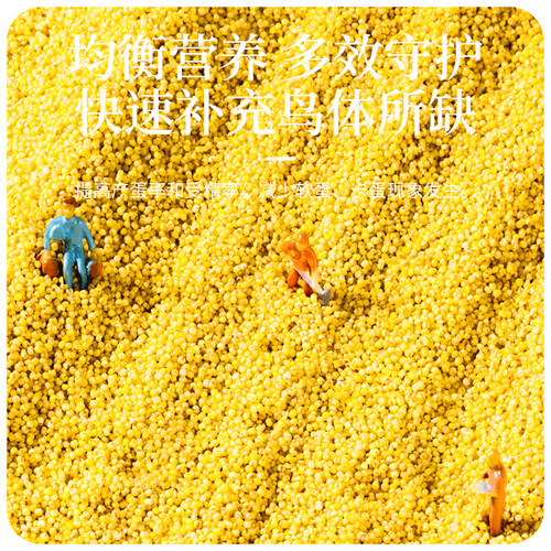 蛋小米鸡蛋米鹦鹉繁殖饲料鸟食无壳黄炒小米促进踩背玄凤牡丹营养 - 图0